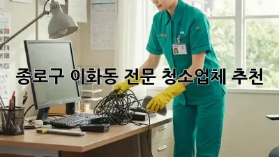 종로구 이화동 전문 청소업체 추천