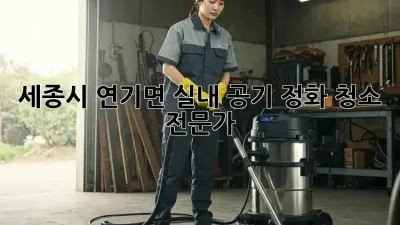 세종시 연기면 실내 공기 정화 청소 전문가